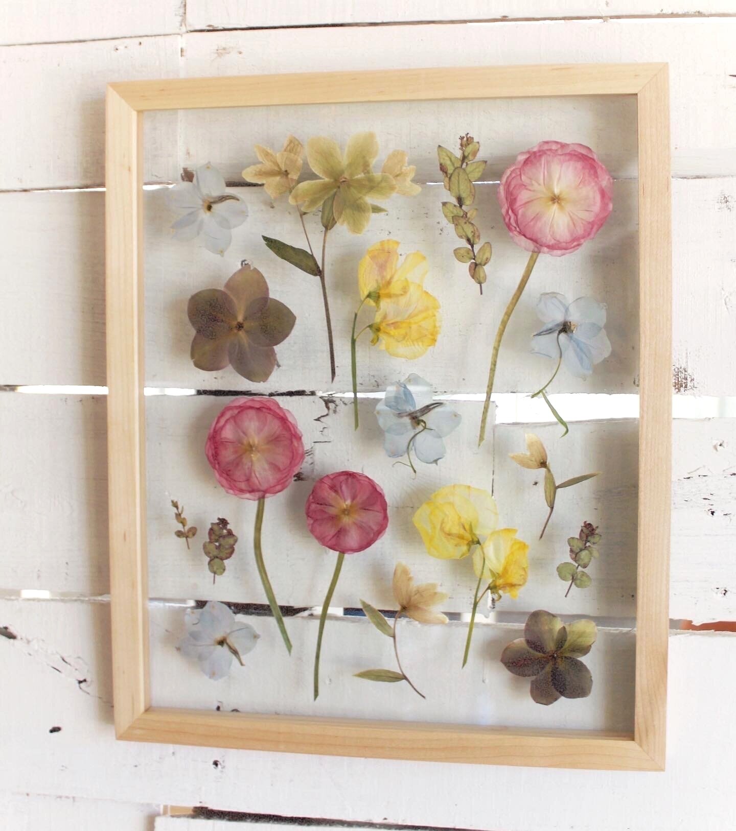 Floral Preservation Information — Framed Florals